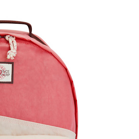 Bolsas Para Portatil Kipling Damien Large Backpack Rosas | MX 1632RV